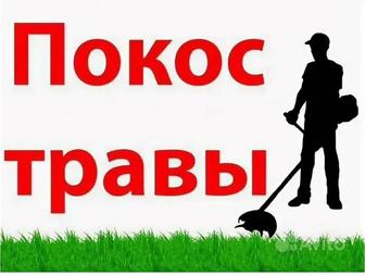 Покос травы, косить траву, скосить траву триммером.