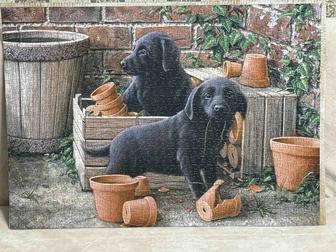 Отдам бесплатно картины пазлы