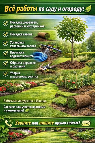 Услуги посадку и огороду!

 Посадка деревьев, растений и кустарников