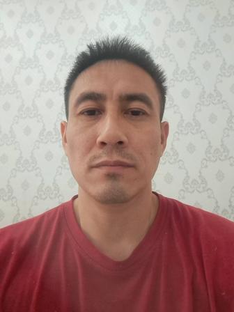 Мастер на все руки