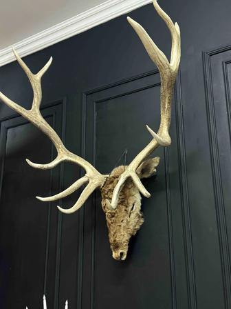 Декор голова оленя