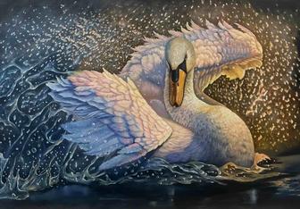 Принимаю заказы на картины, портреты