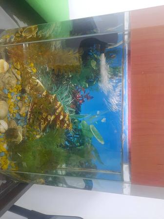 Продам аквариум б/у 25 л