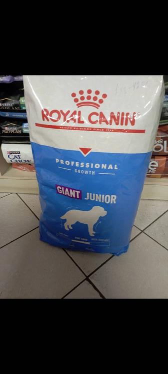 Корм для собак Роял Джайнт джуниор