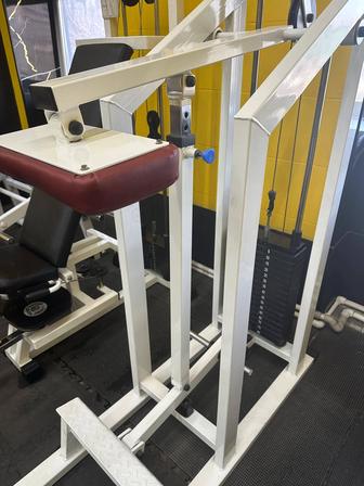 Продам профессиональный тренажер (идеально подходит для спортивного зала )