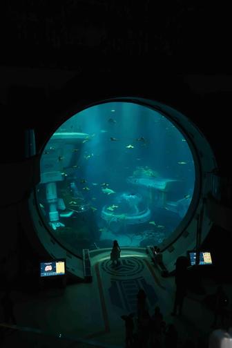 Аренда камеры canon g7x mark ii