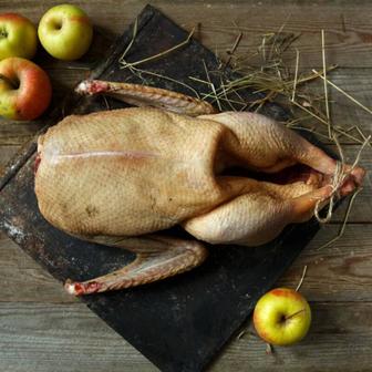 Продам гусей и уток