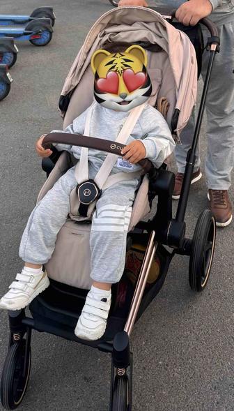 Коляска премиум класса фирмы Cybex Priam 2в1