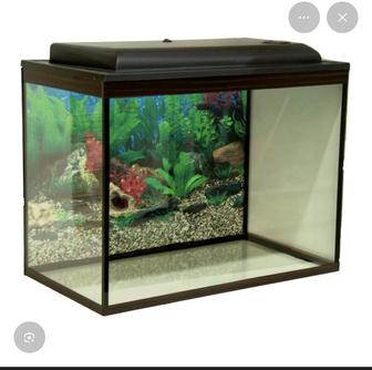 Аквариум сатылады