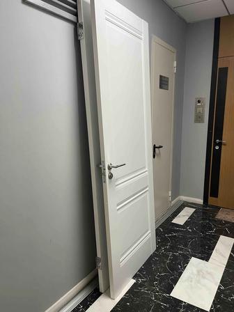 Двери profildoors