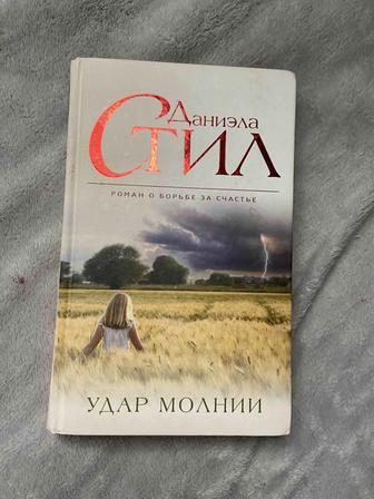 Книга Удар молнии, Дэниел Стил