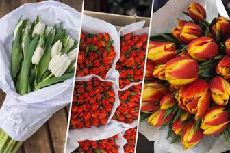 Продам букеты из свежих тюльпанов