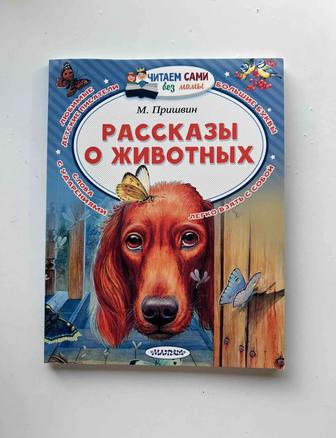 Книжка