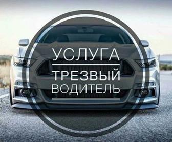 Трезвый водитель