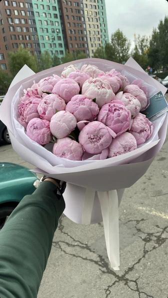 Peony пионы