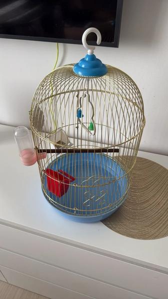 Продам клетку для попугая