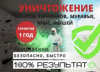 Дезинфекция от тараканов и клопов с гарантией 1 год