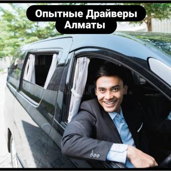 Трезвый Водитель