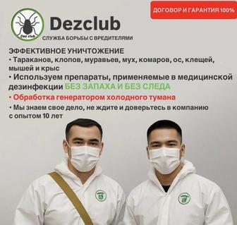 Дезинфекция обработка клопов, тараканов, клещ, блох, муравьев, крыс и мышей