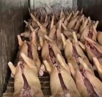 Мясо свинина