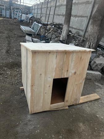 собачьей будки