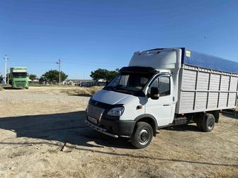 Газел қала іші