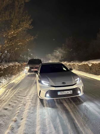 Аренда авто