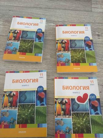 Продажа Книг По Подготовке К Ент