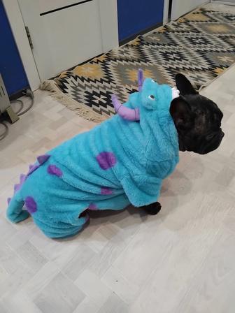 Курточка для французского бульдога