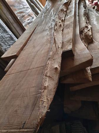 Продам Ясень Согдийский