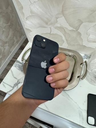 Apple 13