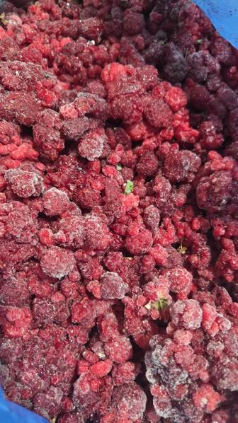 малина мелкая для переработки