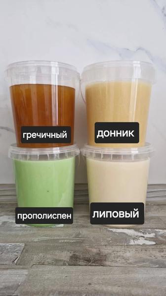 Катон Қарағайдін Балы (Мёд)