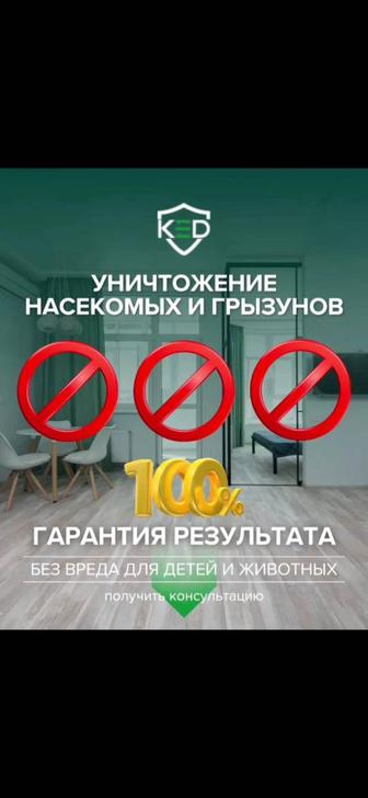 Дезинфекция дезинсекция дератизация