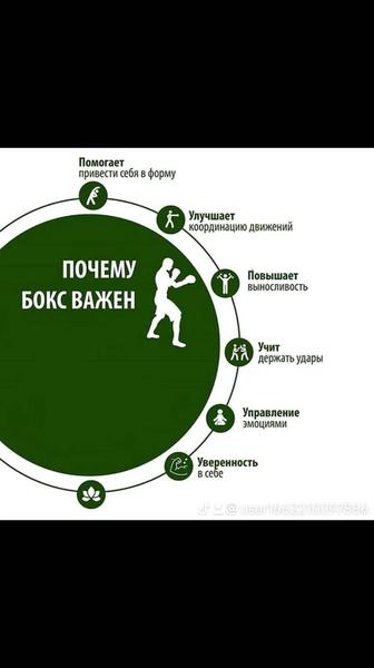 Работа на лапах