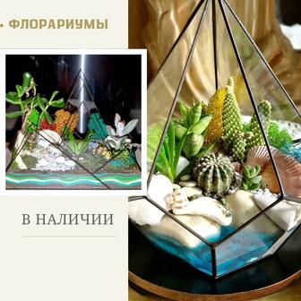 Флорариумы, суккуленты, живые подарки