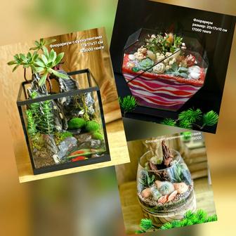 Флорариумы, суккуленты, живые подарки