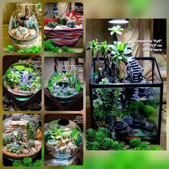 Флорариумы, суккуленты, живые подарки