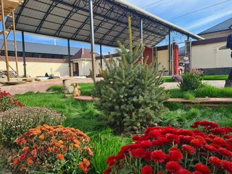 Ландшафтный дизайн