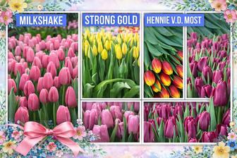 Цветы к 8 марта