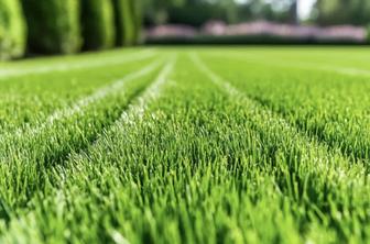 ПОКОС ТРАВЫ