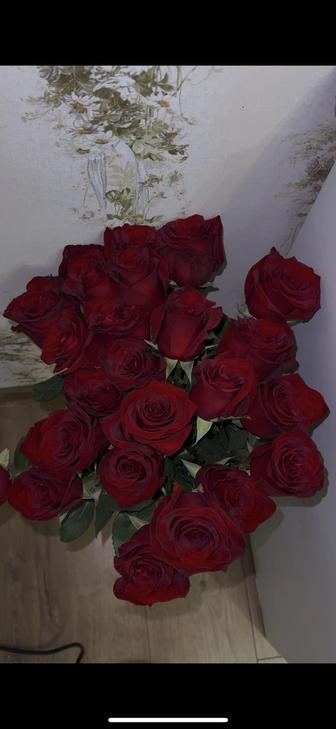 Продам розы метровые