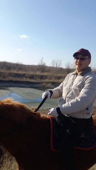 Плотник