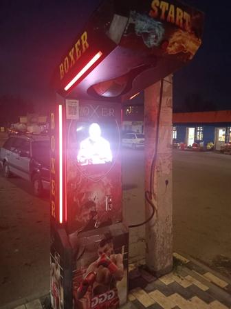 Игровой боксер