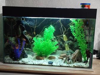 Аквариум на 100л