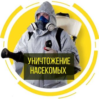 Дератизация грызунов, насекомые,и запахи