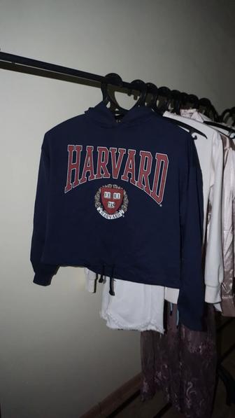 Худи Harvard