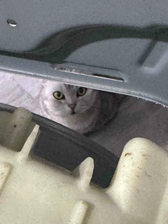 Мастер по ремонту стиральных машин, ремонт стиральных машин.