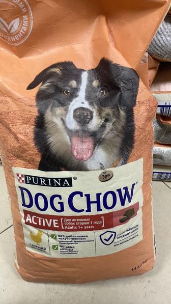 Dog chow active с курицей