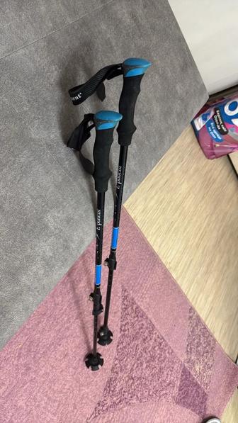 Палки для треккинга